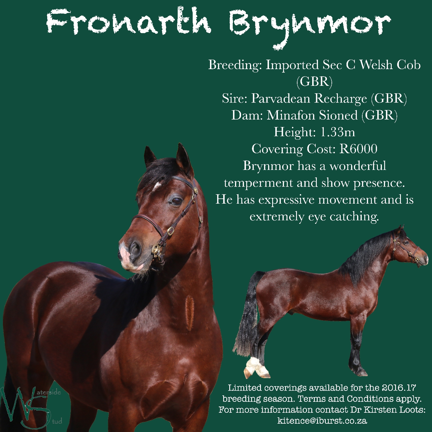 fronarth-brynmor
